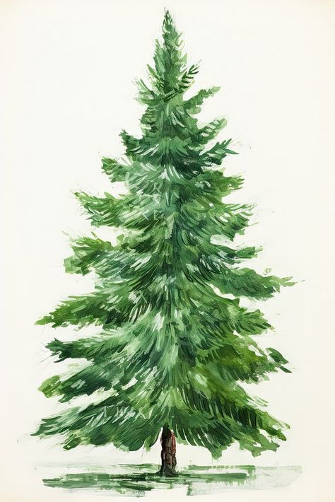 Douglas Fir Tree Drawing, Evergreen Trees Drawing, Evergreen Tree Art, Paint Christmas Tree, Acrylic Aesthetic, Douglas Fir Tree, Trees Drawing, Trees Illustration, Pine Tree Painting