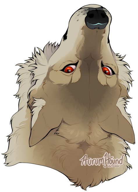 Wolf Pup Drawing Reference, Mad Wolf Drawing, Person With Wolf Drawing Reference, Wolf Walking Drawing, Female Werewolf Oc, Dire Wolf Drawing, Werewolf Oc Female, Wolf Poses Drawing, How To Draw Wolves