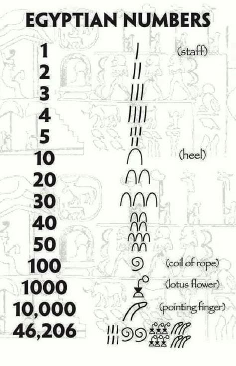 Egyptian Numbers, Egyptian Alphabet, Ancient Egypt Hieroglyphics, Egypt Hieroglyphics, Starověký Egypt, Ancient Alphabets, Ancient Egyptian Hieroglyphics, Ancient Egypt Gods, Ancient Egyptian Symbols