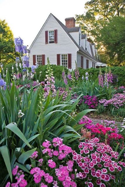 Foundation Planting, Most Beautiful Gardens, Casa Exterior, Colonial Williamsburg, Cactus Garden, Gorgeous Gardens, Country Gardening, Southern Belle, Garden Spaces