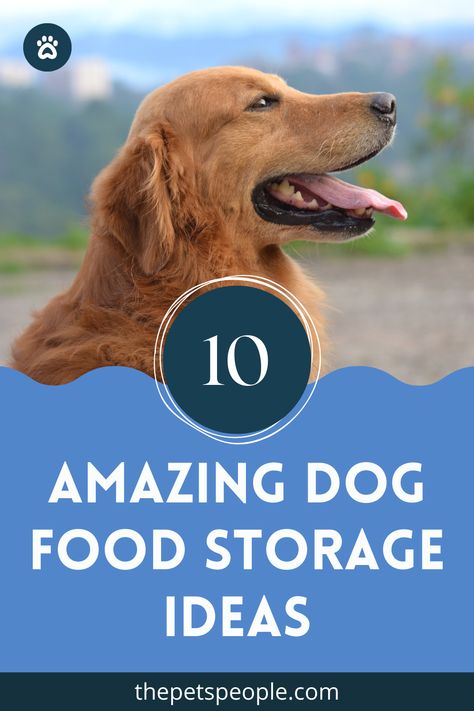 If you own a dog (or any other pet, for that matter) you know how important it is to store their food in the right manner. Read on to know more about some highly effective dog food storage ideas. Pet Food Storage Ideas, Dog Food Storage Ideas, Food Storage Ideas, Dog Food Storage Containers, Make Dog Food, Tallest Dog, Frozen Dog, Food Storage Organization, Pet People