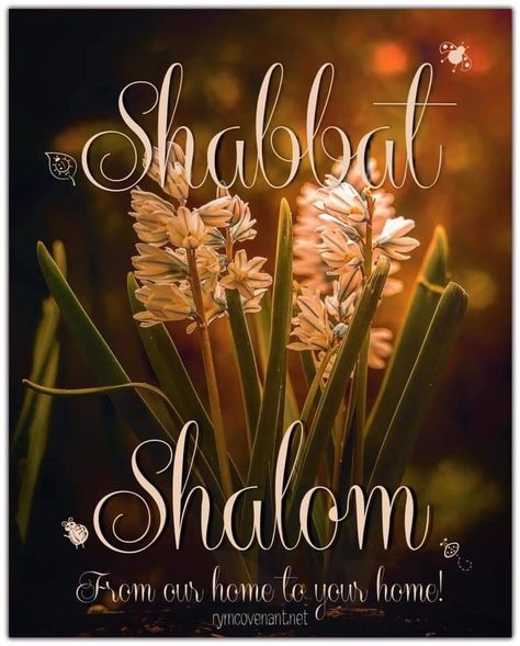 Shabat Shalom Image, Shabbat Blessings, Sabbath Blessings, Bon Sabbat, Happy Sabbath Quotes, Happy Sabbath Images, Sabbath Quotes, Shabbat Shalom Images, Messianic Jewish