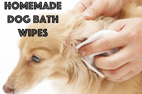 DIY dog bath wipes. Perfect for when your dog needs just a little bit of cleaning. #dogs: Diy Dog Bath, Diy Dog Wash, Dog Wipes, Pet Wipes, Dog Needs, Dog Cleaning, Dog Wash, Dog Projects, Dog Bath