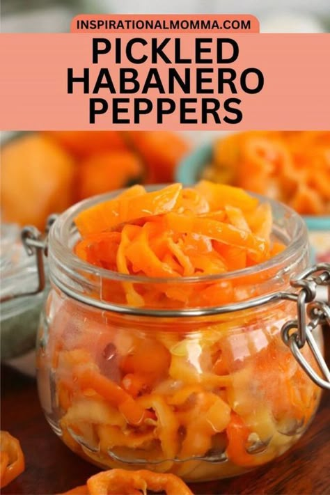 Anyone who knows me knows I love a little sweet with my heat, which is why I love making these pickled habanero peppers. They pack a punch of habanero heat in every bite, but the added sugar and the pickling process tone them down just a bit. If you love a nice, hot addition to your meals, then these pickled habaneros are for you. They have the classic heat and flavor of habanero peppers along with a slightly sweet tang thanks to the sugar I use in the pickling blend I pickle the peppers in. What To Do With Fresh Habanero Peppers, Roasted Habanero Peppers, How To Use Habanero Peppers, Habernos Recipes, Canning Habanero Peppers, Pickled Habanero Peppers Recipe, Jalapeno Ideas, Pickled Habanero Peppers, Zesty Pickles