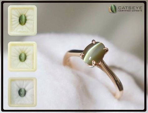 Cat Eye Stone Ring, Ornamental Jewelry, Cats Eye Gem, Gemstone Ring Design, Cat Eye Jewelry, Tiny Diamond Ring, Stone Ring Design, Room Decor Videos, Cat Eye Stone