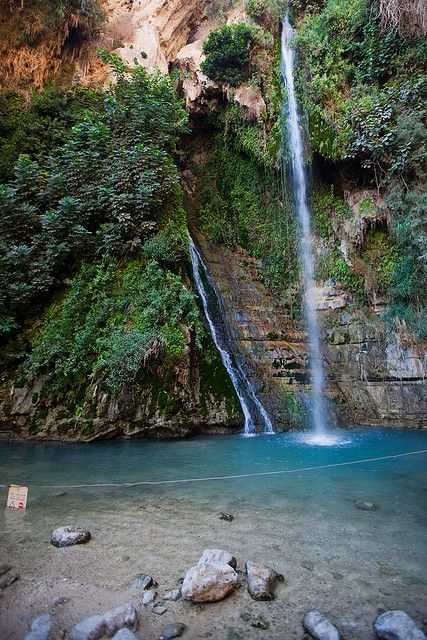 Ein Gedi, Masada & the Dead Sea. Gorgeous!!!! Judean Desert, Ein Gedi, Scenic Images, Bible History, Sea Coast, Biblical Studies, Promised Land, Silk Road, Sea Level