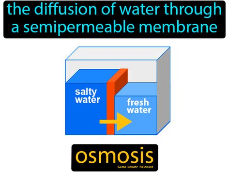 Osmosis definition: The diffusion of water through a semipermeable membrane. Passive Transport, Cellular Respiration, Cell Cycle, Khan Academy, Punctuation Marks, Easy Science, Photosynthesis, Punctuation, Botany