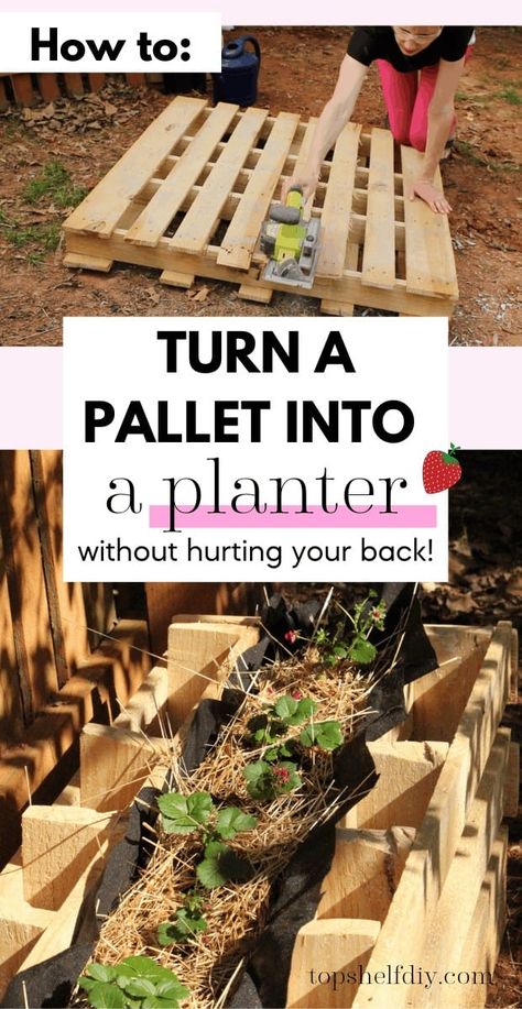 Wooden Pallet Planter Boxes, Pallet Planter Boxes Diy, Pallet Flower Box, Pallet Planter Diy, Plant Strawberries, Building Planter Boxes, Pallet Planter Box, Wood Pallet Planters, Compost Soil