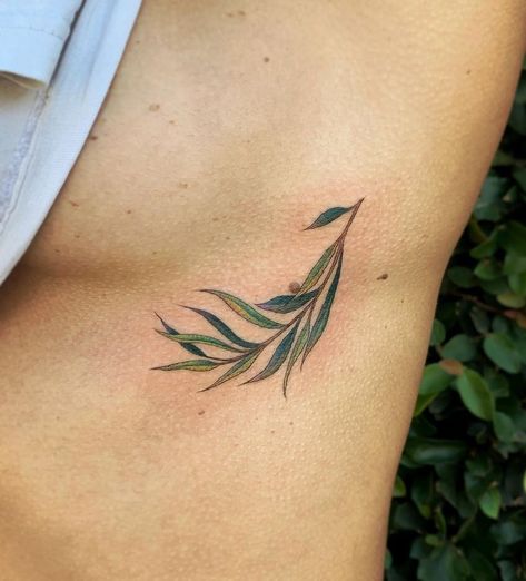 Willow Branch Tattoo, Weeping Willow Tattoo, Willow Tattoo, Tattoo Machine Design, Cicada Tattoo, Abdomen Tattoo, Tree Tattoo Meaning, Tree Branch Tattoo, Bestie Tattoos