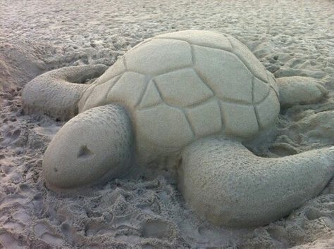 Sand turtle Sand Turtle, Beach Things, Sea Turtle, The Beach, Sculpture, Quick Saves