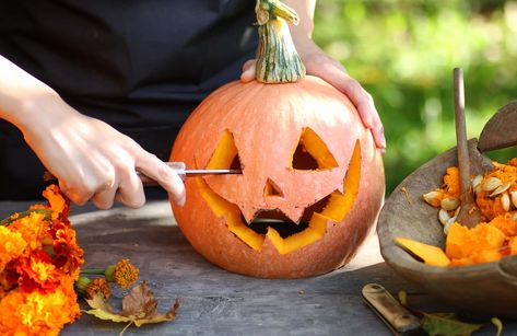 How to Carve a Pumpkin for Halloween Florida Halloween, Pumpkin Carving Tools, Hocus Pocus Party, Pumpkin Carving Kits, Halloween Pumpkin Carving Stencils, Amazing Pumpkin Carving, Spooky Halloween Party, Pumpkin Carvings Stencils, Halloween Pumpkins Carvings