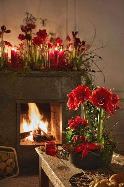 Amellye - Amaryllis🎄🌺-(Pinterest)... Amaryllis Arrangement Christmas, December Magic, Christmas Homes, Christmas Fireplace Mantels, Outdoor Christmas Planters, Lights For Christmas, Law Christmas, Christmas Pots, Holiday Arrangement