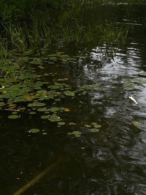 Rainy Castle Aesthetic, Green Lake Aesthetic, Rain Garden Aesthetic, Indie Nature Aesthetic, Tadpole Aesthetic, Lake Aesthetic Dark, Water Lake Aesthetic, Water Stream Aesthetic, Lake Water Aesthetic