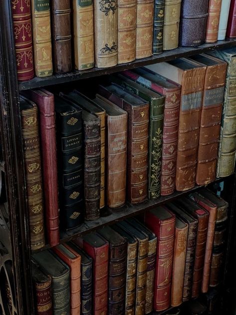 Aesthethic Library, Old Aesthetic Library, Aesthetic Books Dark Academia, Aesthetic Old Library, Studying In A Library Dark Academia, Art Academia, Little Dorrit, History Of England, Library Aesthetic