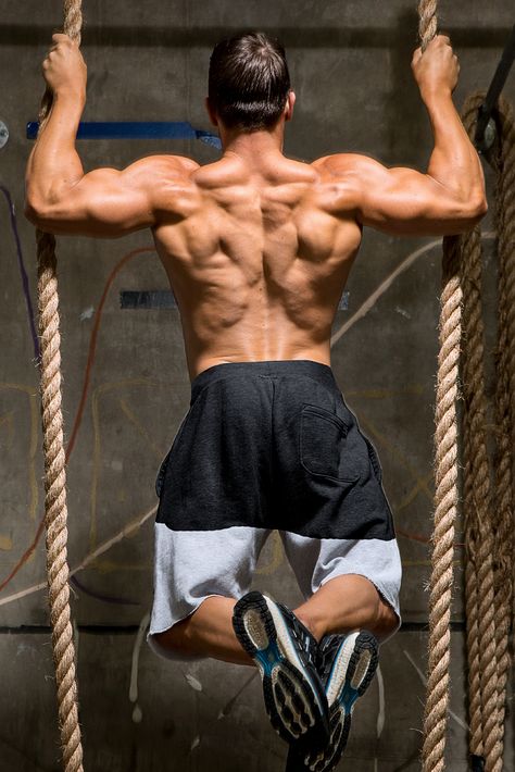 How beginners can build a massive back - Guide discusses the back, its function, and exercises. Try these 5 great back workout programs for size. Man Back Muscles, Human Back Reference, Muscular Back Male, Men Back Reference, Back Physique, Back Workout Program, Back Workout For Mass, Workout Pose, Big Back Workout