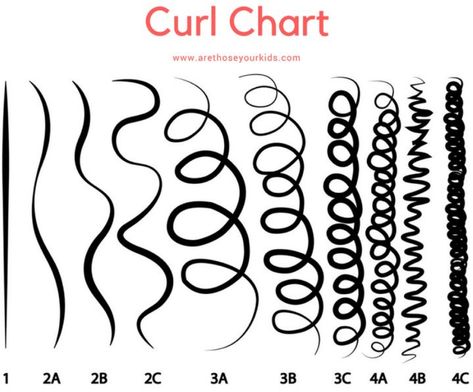 Curly Hair Chart, Hair Chart, Hair Inspo Color, Afro Hairstyles, Hair Inspo, Curly Hair, Curly Hair Styles, Hair, Beauty