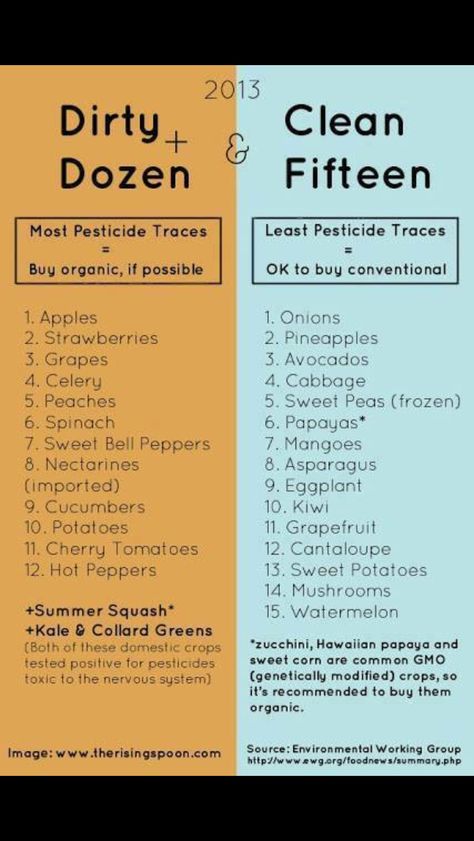 Dirty dozen clean 15 Dirty Dozen, Food Info, Save Money On Groceries, Food Facts, Eating Healthy, Clean Eating Recipes, Healthy Tips, Healthy Choices, Apple Cider