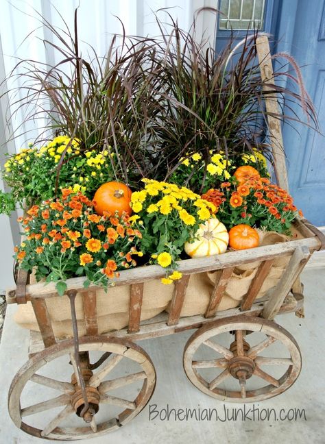 Fall decor: Goat wagon loaded down with mums and fall grass from Lowe’s. ~ bohemianjunktion.com Wagon Decor, Land Scaping, Fall Window Boxes, Fall Yard Decor, Fall Yard, Fall Garden Decor, Outside Fall Decor, Fall Planting, Fall Mums