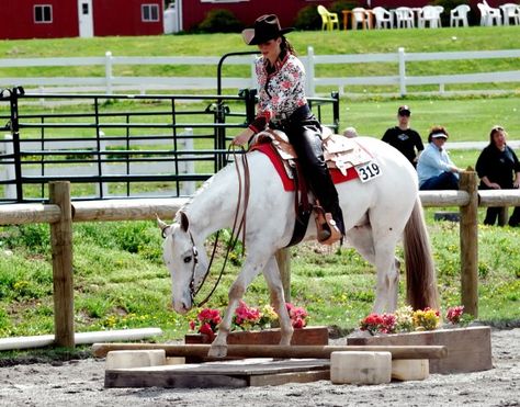 Western trail class is something I would love to compete in....someday. Gottaget my horse to agree first. Western Trail Riding, Western Equitation, Horse Disciplines, Horse Obstacles, Western Horsemanship, Western Trail, Horse Showing, Obstacle Courses, Horse Trail