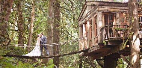 7 Wedding Ceremonies That Will Make You Fall in Love Treehouse Point Wedding, Wedding Venues Washington State, Treehouse Wedding, Treehouse Point, Seattle Wedding Venues, Washington Wedding Venues, Treehouse Hotel, Low Cost Wedding, Wedding Reception Locations