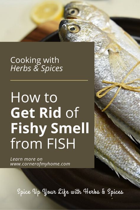 Herbs, spices and seasonings for fish not only flavor your fish, but they can also cover up the smell. Once the fish is cooked and paired with a herbaceous sauce, you may not notice the smell anymore. Pin this to your cooking board & read the full article. There are more way to get rid of fishy smell from fish. Spices For Fish, How To Cook Catfish, Seasoning For Fish, Fish Boil, How To Make Fish, Cleaning Fish, Salmon Seasoning, Herbs Spices, How To Cook Fish