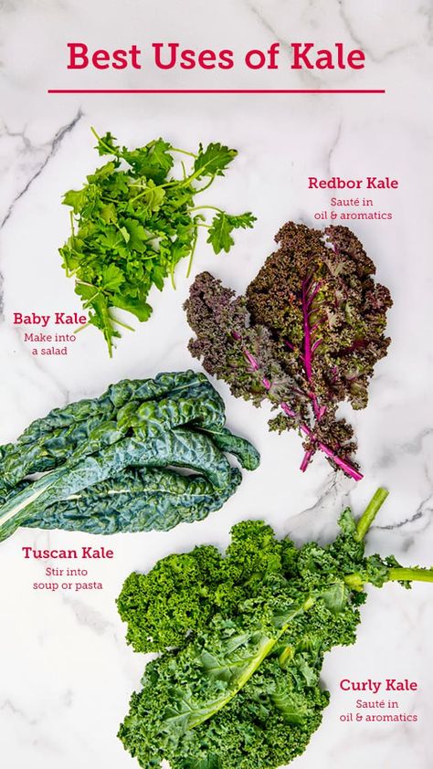 Baby Kale Recipes, Kale Benefits, Infuser Recipes, Cook Kale, Types Of Kale, Vegetable Ideas, How To Cook Kale, Types Of Salad, Sauteed Kale