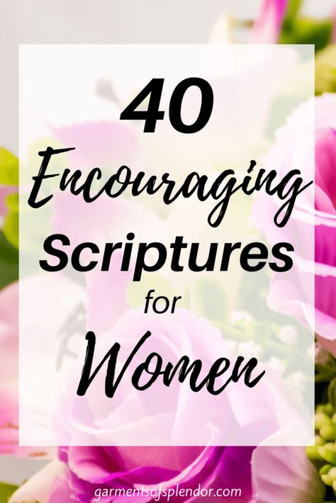 Scripture Quotes For Women Encouragement Strength Words, Word Of Encouragement For Women, Quotes About Scripture, Bible Verse For Women Encouraging, Scriptures On Encouragement, Biblical Verses For Strength, Strength Scriptures For Women, Inspiring Scripture Verses, Best Verses For Women