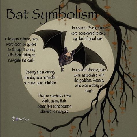 Bats In Witchcraft, Bat Spiritual Meaning, Bat Spirit Animal Meaning, Bat Symbolism, Animal Omens, Night Creatures, Spirit Animal Meaning, Creature Of The Night, Animal Meanings