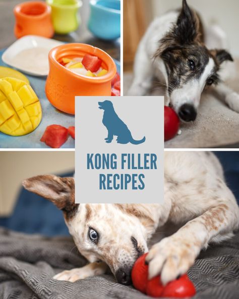 Kong Fillers Stuffing Recipes, Low Fat Dog Treats, Kong Treats, Kong Stuffing, Kong Recipes, Fat Dogs, Kong Toys, Puppies Tips, Stuffing Recipes