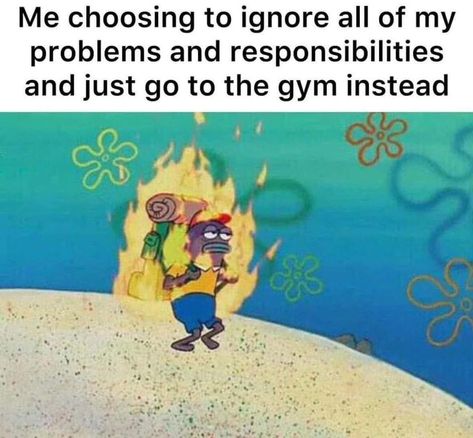 Gym Memes Humor, Fitness Quotes Funny Gym Humor, Funny Gym Motivation, Gym Jokes, Gym Meme, Gym Memes Funny, Fitness Memes, Back To The Gym, Gym Quotes