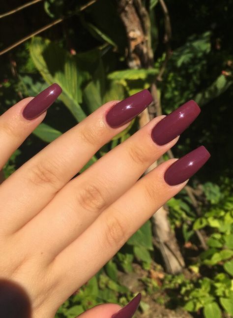 Dark Coloured Acrylic Nails, Wine Purple Nails Acrylic, Coffin Acrylic Nails Dark Colors, Mulberry Acrylic Nails, Long Plum Nails, Dark Purple Maroon Nails, Dark Colored Acrylic Nails, Wine Colored Nails Acrylic, Deep Mauve Nails