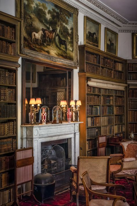 Estate Library, Library Vibes, Castle Library, Amazing Houses, Sitting Rooms, English Country Decor, Something In The Way, My Diary, Natural Aesthetic