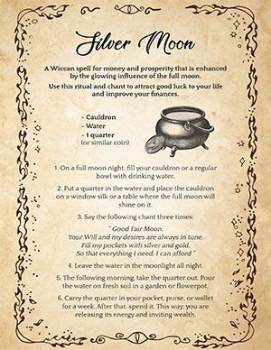 ‘Silver Moon’: Money Manifestation Spell in the Full Moon – Spells8 Witch Tools List, Making A Witches Broom, Cauldron Uses, Making Brooms, Witch Crafts Diy, Spiritual Education, Astral Realm, Witches Brooms, Witch Brooms