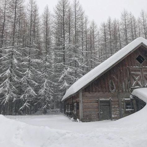 Cottage In Snow Aesthetic, Snowed In Cabin Aesthetic, Winter Aesthetic Cabin, Snowy Cozy Aesthetic, Snowy Cabin In The Woods Aesthetic, Rock Paper Scissors Alice Feeney Aesthetic, Snowy Cottage Aesthetic, Snow Cottage Aesthetic, Snow Lodge Aesthetic