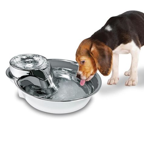 Pet fountains help your animals to drink more water because they are attracted to moving water. In the past the only option you had for an automatic pet fountain was a plastic one. Now finally there is a stainless steel pet drinking fountain that looks like it belongs in your kitchen. There has never been a pet fountain that looks or works as well as this one does. Pet Drinking Fountain, Dog Texts, Elevated Dog Feeder, Pet Fountain, Dog Water Fountain, Cat Fountain, Drinking Fountain, Healthy Water, Dog Food Storage