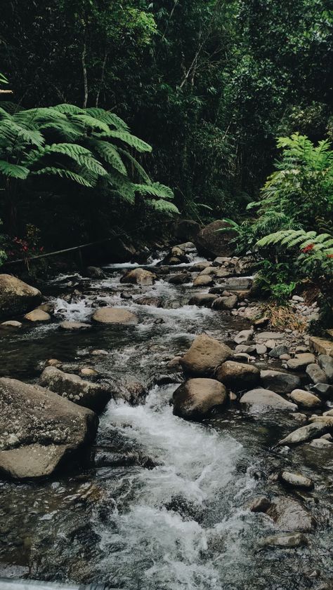 Forest Waterfall Aesthetic, Sungai Aesthetic, Waterfall Aesthetic, Beach Captions, Nature Film, Waterfall Pictures, Forest Waterfall, Travel Picture Ideas, Pretty Wallpapers Tumblr