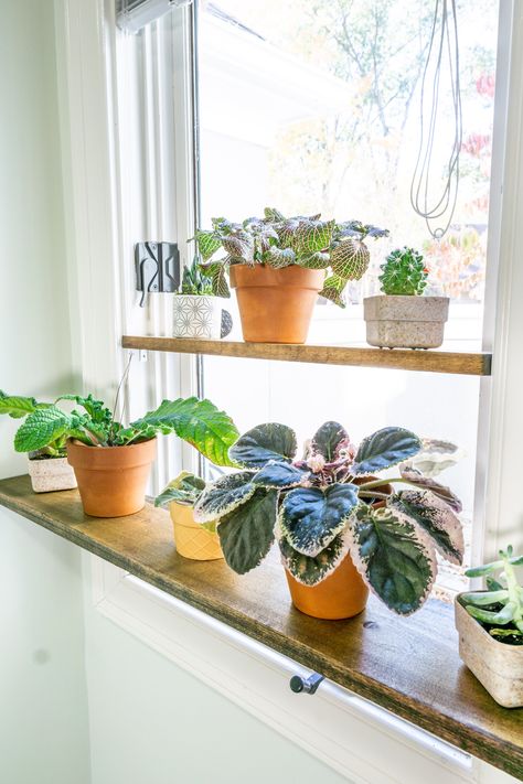 Diy Window Ledge Plant Shelf, Hanging Window Plant Shelf Diy, Window Sill Shelf For Plants, Indoor Window Plant Shelf, Diy Window Sill Plant Shelf, Diy Window Plant Shelf, Window Sill Plant Shelf, Plant Shelving, Window Shelves For Plants