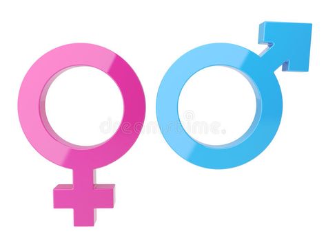 Male And Female Signs, Background Illustration, Male And Female, 3d Illustration, Stock Illustration, White Background, Royalty Free Stock Photos, Stock Photos, Signs