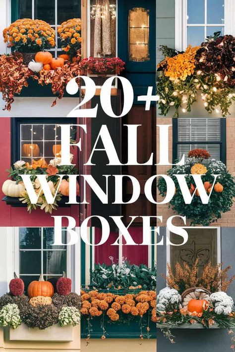 20+ Fall Window Boxes to Elevate Your Home Aesthetic Autumn Window Box Ideas, Mums In Window Boxes, Fall Window Boxes With Pumpkins, Fall Window Boxes Ideas, Winter Window Boxes, Fall Window Boxes, Fall Windows, Cabin Chic, Ornamental Kale