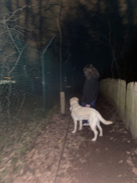 #walk #dog #walkingwithdog #dogwalker #night #nightlife #aesthetic #shady #mysterious #winter #wintertime #dark #fall #autu Walking With Dog, Night Dog Walking, Nightlife Aesthetic, Walk Dog, Dark Fall, Wolf Dog, Dog Walker, Winter Time, Dog Walking