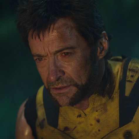 Hugh Jackman Wolverine Pfp, Wolverine Pfp, Wolverine 2024, Wolverine Icon, Logan Howlett, James Howlett, Deadpool Comic, Deadpool 3, Wolverine Hugh Jackman