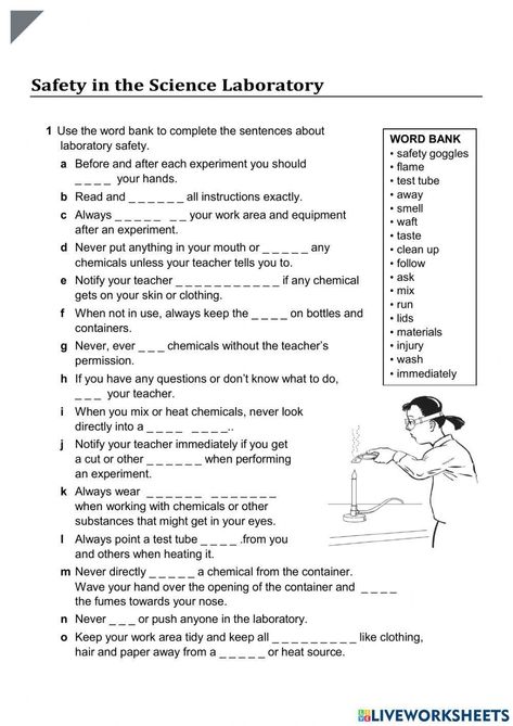 Science Lab Safety Rules Middle School, Lab Safety Worksheet, What Is Science Worksheet, Safety Rules Worksheet, Science Lab Safety Rules, Science Safety Rules, Classroom Worksheet, Teaching Energy, Science Lab Safety