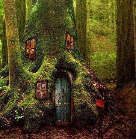 Home built inside a tree trunk. Case Sotterranee, Beautiful Tree Houses, Cool Tree Houses, Hobbit House, Magic Forest, Fairy Doors, Fairy Land, Fairy Houses, Fairy House