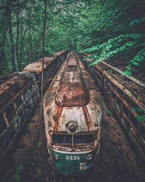 The Lost World - Imgur Magic Places, Abandoned Train, Abandoned House, Old Trains, Strange Places, Abandoned Mansions, Foto Tips, Abandoned Cars, Train Tracks