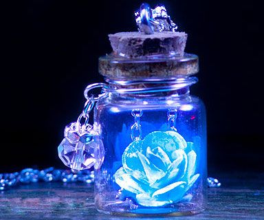 Glowing Rose, قلادات متدلية, Glowing Flowers, Vial Necklace, Dark Jewelry, Dark Flowers, Bottle Charms, Magical Jewelry, Bottle Necklace