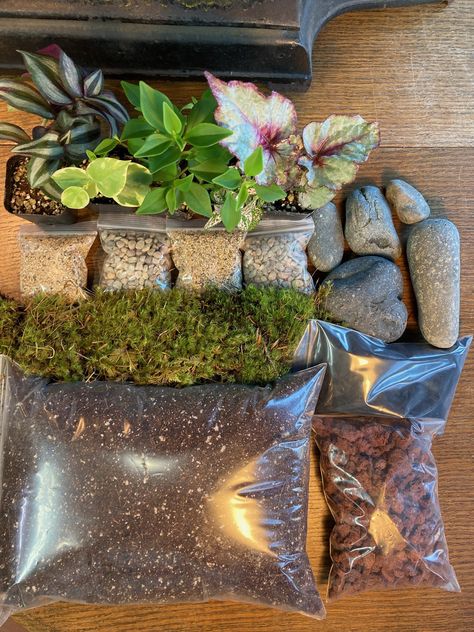 Terrarium Kit Gift, Terrarium Scene, Terrariums Diy, Build A Terrarium, Fenced Vegetable Garden, Diy Terrarium Kit, Terrarium Kit, Diy Succulent Terrarium, Terrarium Plant