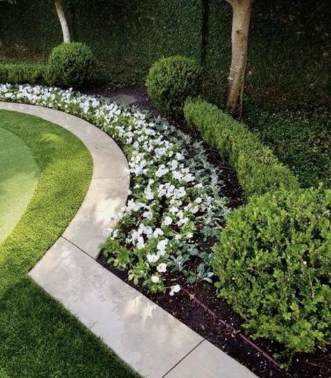 Front Yard Landscaping Hedges, Million Dollar Landscaping, Wee White Hydrangea Landscape, New England Backyard Ideas, Stone Path To Front Door, Large Area Landscaping Ideas, Boxwood Hedge Front Yard, Patio Chico, Boxwood Landscaping