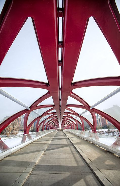 The Peace Bridge, Calgary Peace Bridge, Bridge Between Buildings, Peace Bridge Calgary, Santiago Calatrava Bridge, Suspension Bridge Vancouver, Bridge Over Troubled Water, Santiago Calatrava, Bridge Design, Suspension Bridge