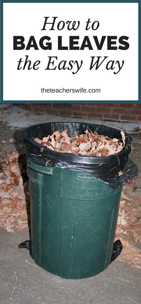 How to Bag Leaves the Easy Ways Yard Cleaning, Fall Yard Decor, Raking Leaves, Diy Leaves, Frugal Family, Natural Diy, Trash Bag, Easy Garden, Diy Natural Products