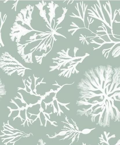 [shore décor] I ballarddesigns.com Seaweed Wallpaper, Coastal Wallpaper, Coastal Dining, Sea Print, Beach Cottage Decor, Wall Texture, Painting Wallpaper, Coastal Cottage, Sea Food